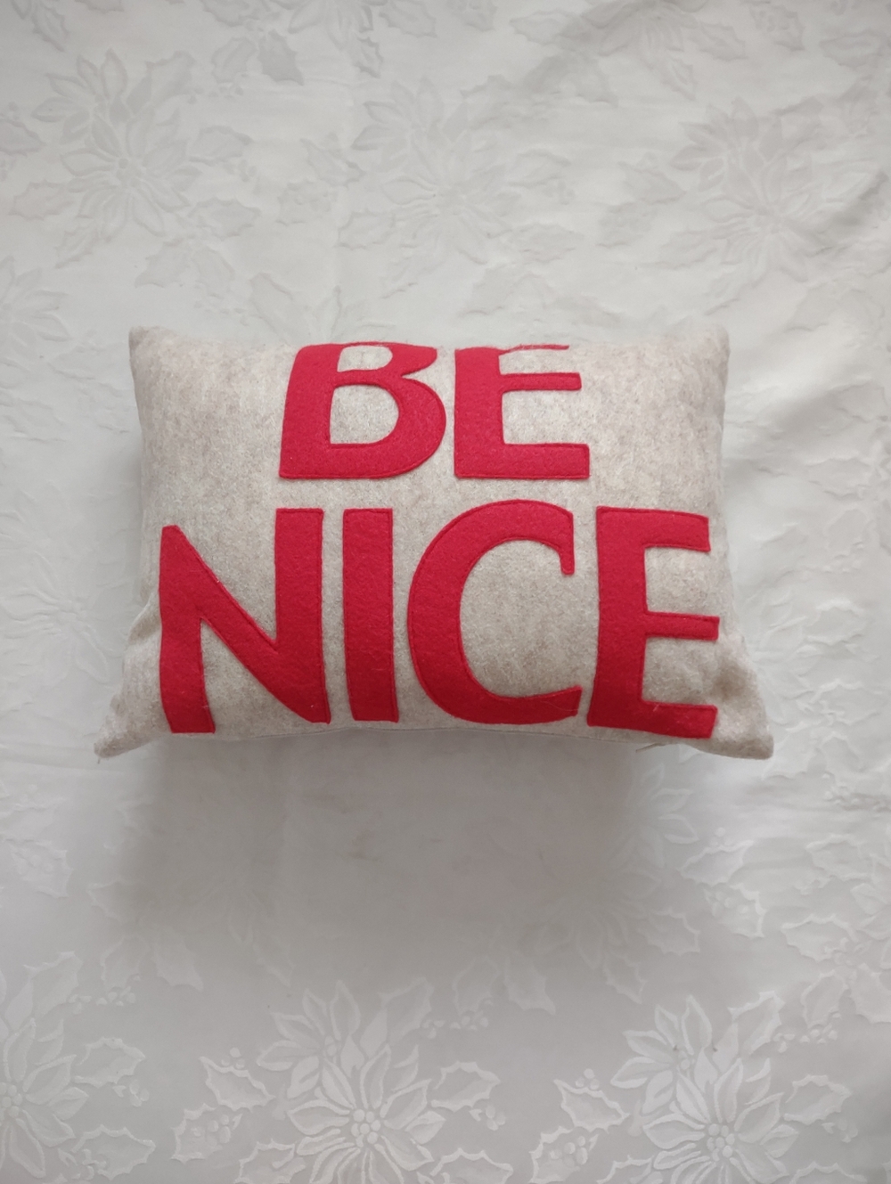 Be Nice Alexandra Ferguson Eco Friendly Decorative Pillow